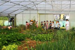 IMG_20240624_085501
