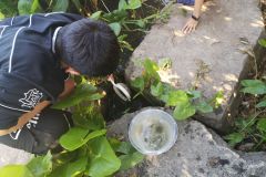 IMG_20250715_093738