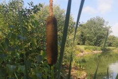 IMG_20250715_094644