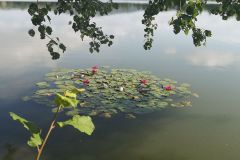 IMG_20250715_094835