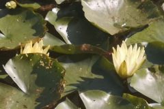 IMG_20250715_095007
