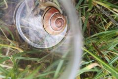 IMG_20250715_103834_1