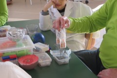 IMG_4103