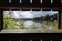 IMG_20250723_091031