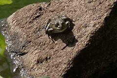 IMG_20250723_091846