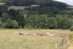 IMG_20260722_111139