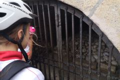IMG_20260722_115207